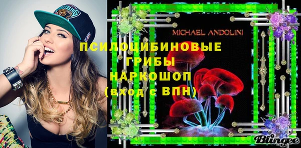 ПСИЛОЦИБИНОВЫЕ ГРИБЫ Алексеевка