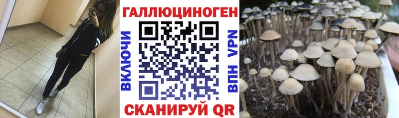 Псилоцибиновые грибы MAGIC MUSHROOMS Полевской