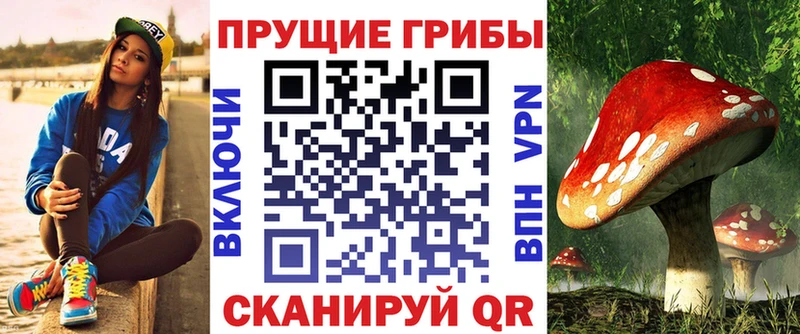 Галлюциногенные грибы мицелий Полевской